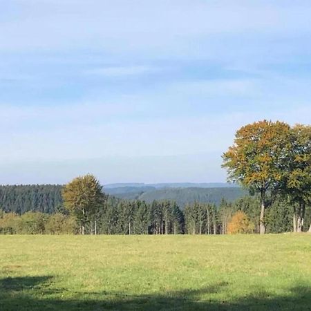 Magnificent Apartment In Willingen With Balcony Luaran gambar