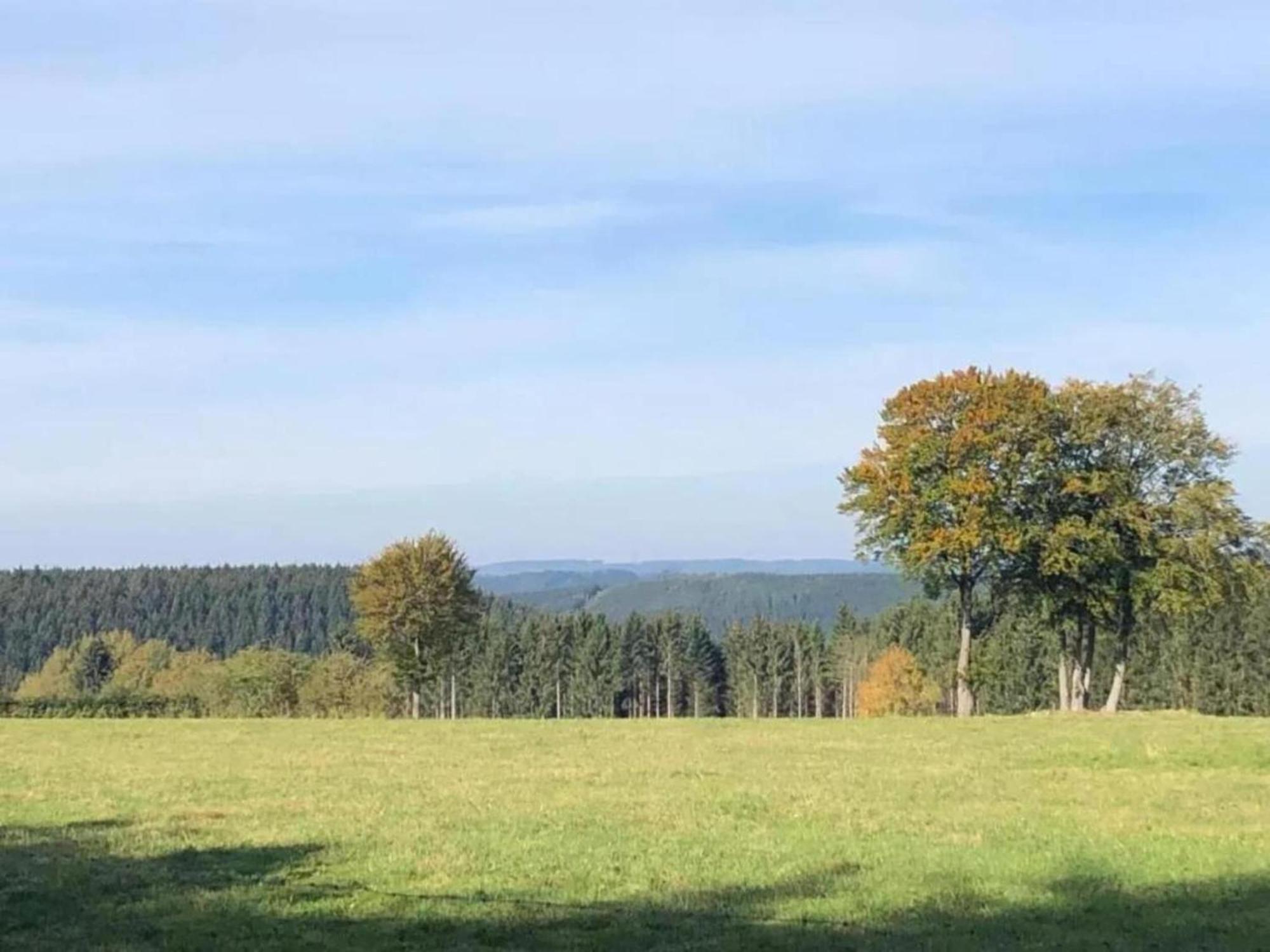 Magnificent Apartment In Willingen With Balcony Luaran gambar