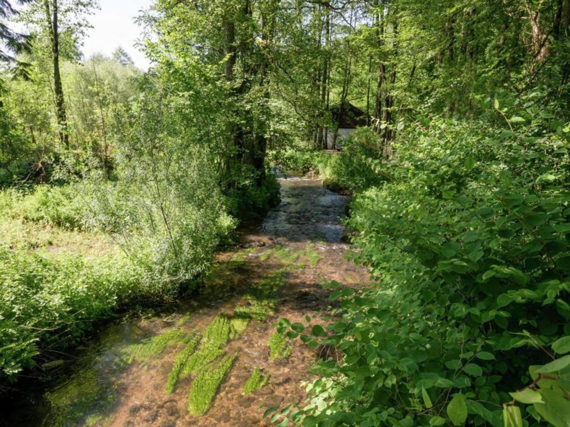 Magnificent Apartment In Willingen With Balcony Luaran gambar